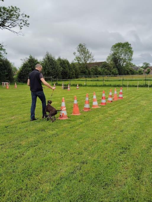 Gite Au Ptit Canin Moyenneville  Exterior foto
